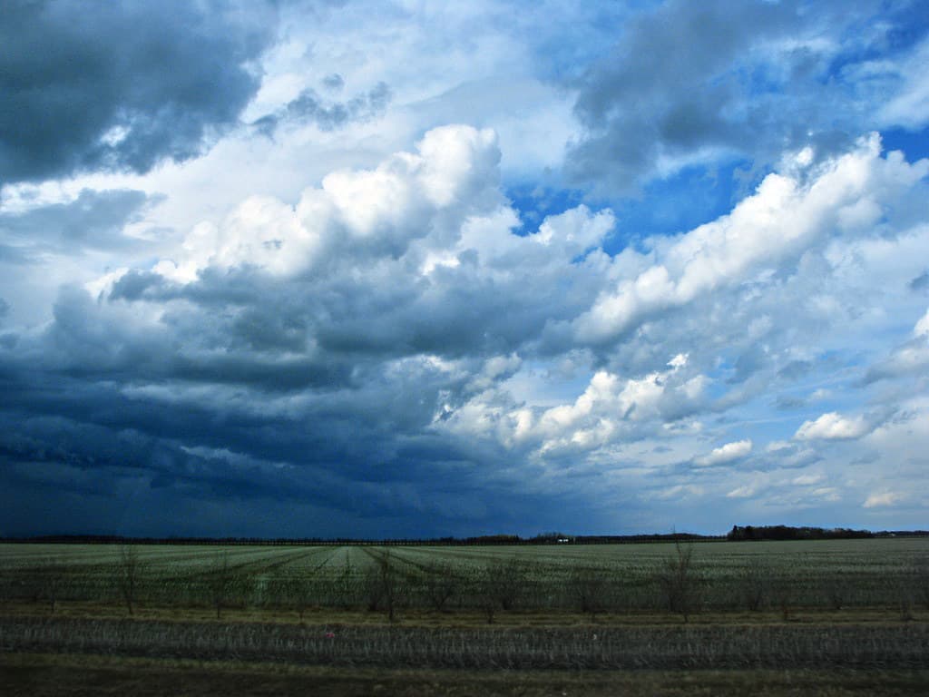 Patchy Fog, Thunderstorms