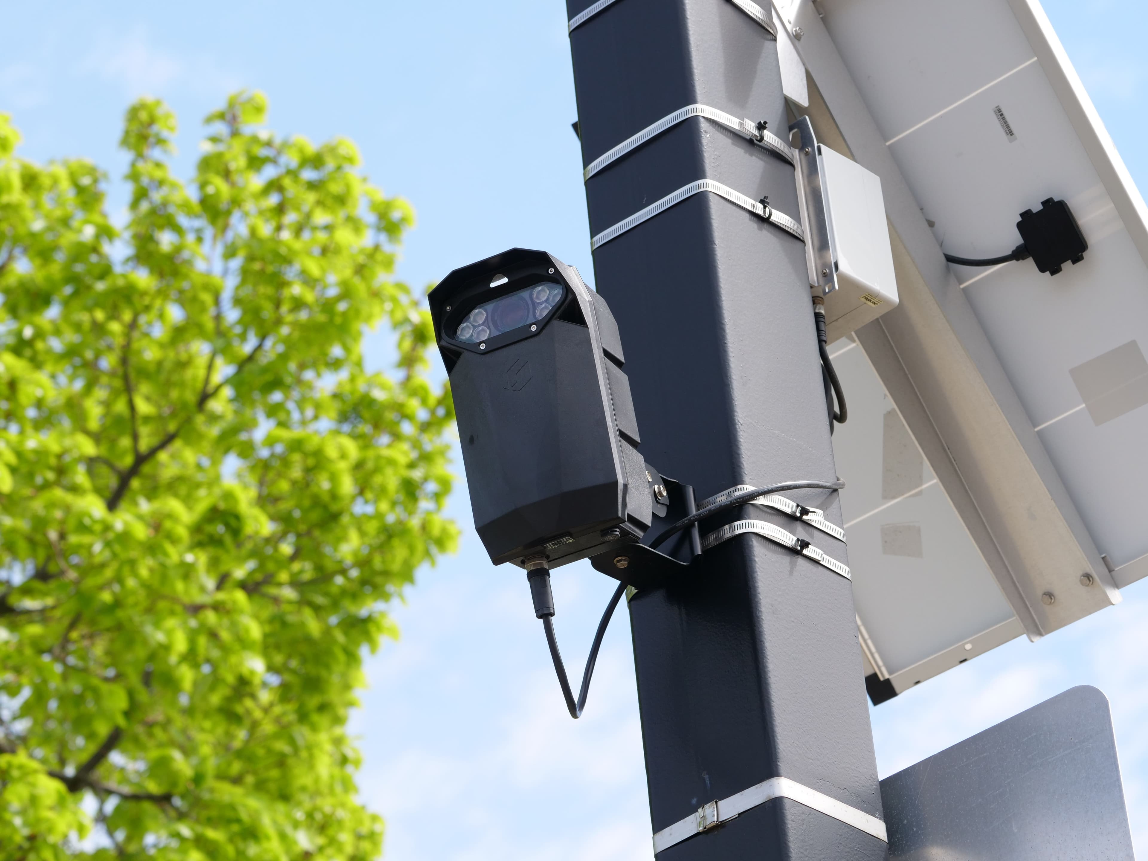Westland Flock Cameras