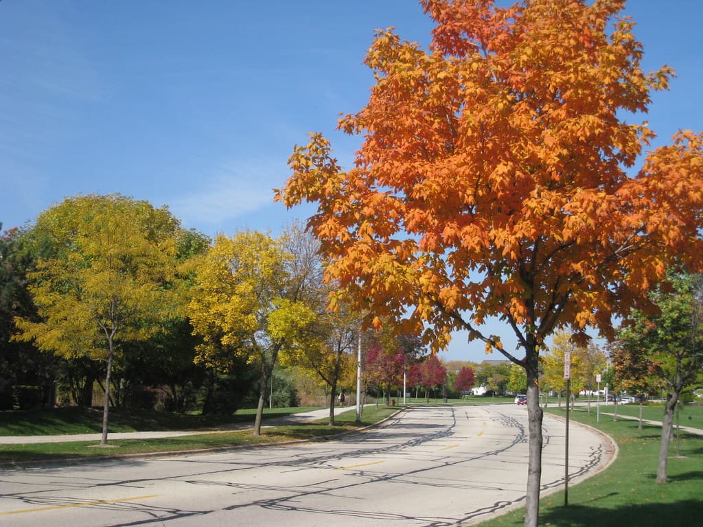 City of Westland Publishes Public Notices