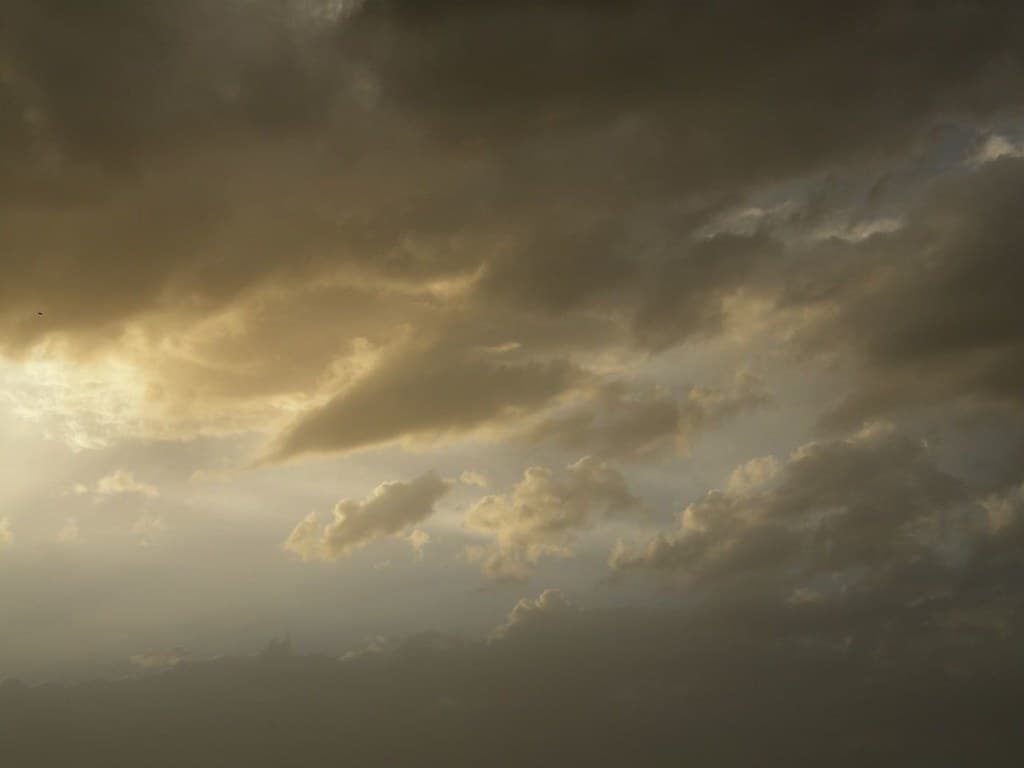 Slight Chance Showers and Patchy Fog Overnight