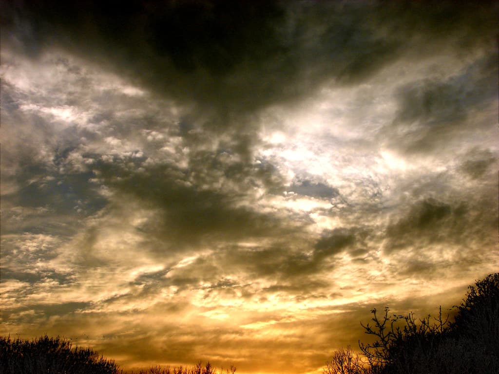 Partly Sunny