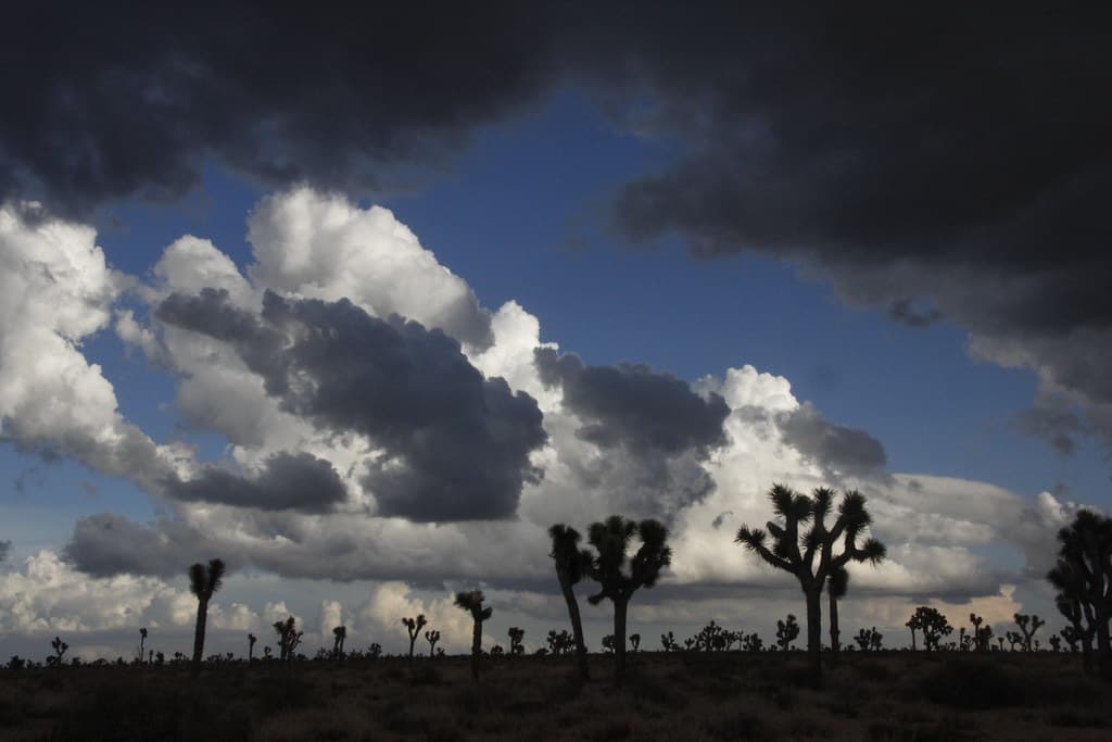 Patchy Fog Expected Thursday