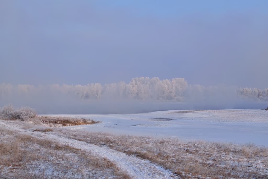 Fog lying over a river bank on a cold morning