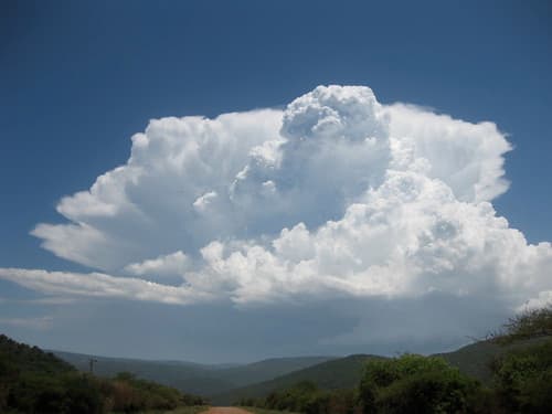 Partly Cloudy with Chance of Rain Showers